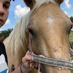 Meet your Posher, Josh